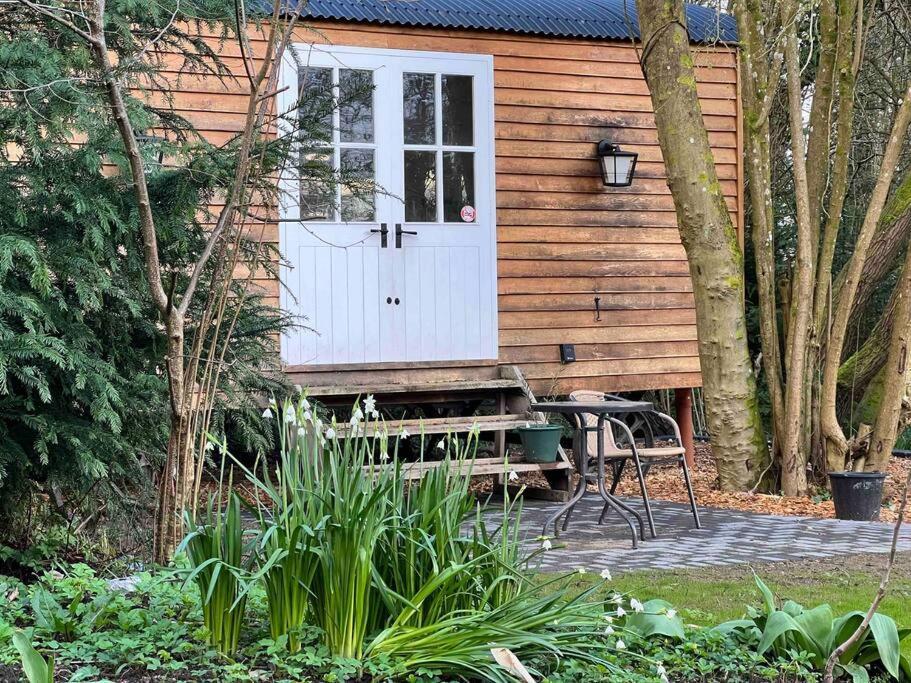 Tranquil Spot Shepherds Hut Cinderford Exteriér fotografie